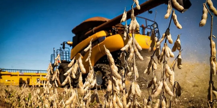 Vendas De Tratores Crescem 27,5% Em Setembro E Impulsionam Otimismo No Agronegócio Brasileiro - Gazeta Mercantil