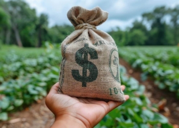 Brasil amplia exportações do agronegócio com Índia e Rússia 2 GAZETA MERCANTIL Brasil Amplia Exportações Do Agronegócio Com Índia E Rússia - Gazeta Mercantil