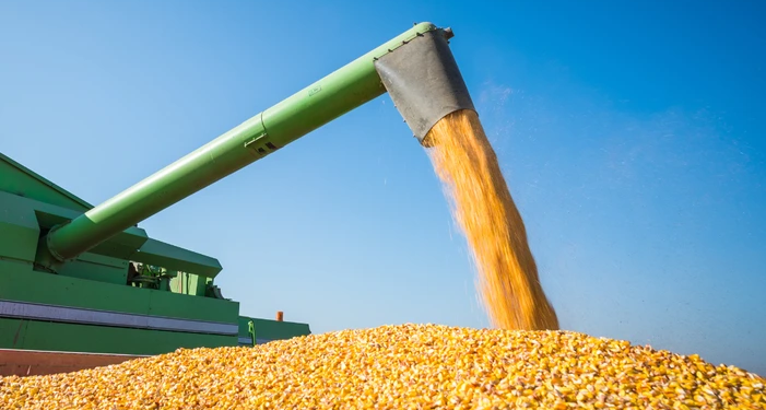 Superávit Do Agronegócio Paulista Atinge Us$ 21 Bi Em 2025 - Gazeta Mercantil