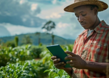 Novo Crédito Rural Terá Carência De Até 1 Ano E Prazo De Pagamento Em 9 Anos - Gazeta Mercantil