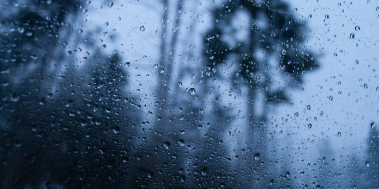 Chuvas em São Paulo nesta segunda: veja horários de maior risco e previsão para os próximos dias 1 GAZETA MERCANTIL Chuvas Em São Paulo Nesta Segunda: Veja Horários De Maior Risco E Previsão Para Os Próximos Dias - Gazeta Mercantil