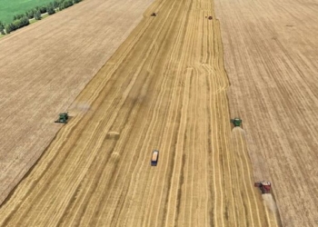 Produção De Grãos Da China Bate Recorde Histórico No Período 2021-2025 - Gazeta Mercantil