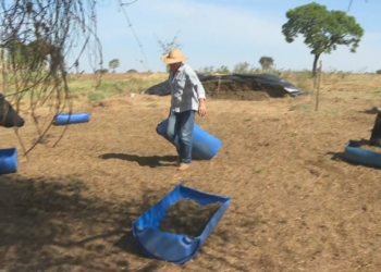 Brasil E Japão Firmam Acordo De Cooperação Para Recuperar 40 Milhões De Hectares De Pastagens Degradadas - Gazeta Mercantil