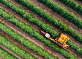 Oiag11 Distribui R$ 0,12 Por Cota E Mantém Dividend Yield De 16% - Gazeta Mercantil