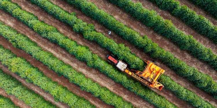 Oiag11 Distribui R$ 0,12 Por Cota E Mantém Dividend Yield De 16% - Gazeta Mercantil