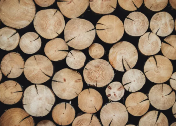 Trump Define Tarifas De 10% Sobre Madeira E 25% Sobre Móveis: Entenda Os Impactos - Gazeta Mercantil - Economia