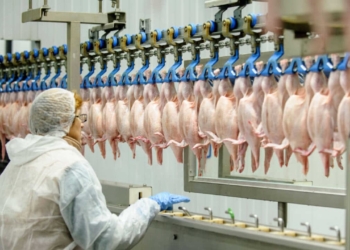 Preços Do Frango Sobem Em Sp Com Oferta Abaixo Do Nível Pré-Gripe Aviária - Gazeta Mercantil