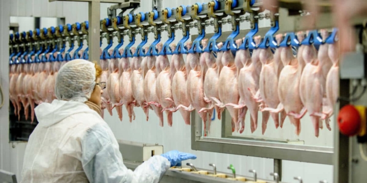 Preços Do Frango Sobem Em Sp Com Oferta Abaixo Do Nível Pré-Gripe Aviária - Gazeta Mercantil