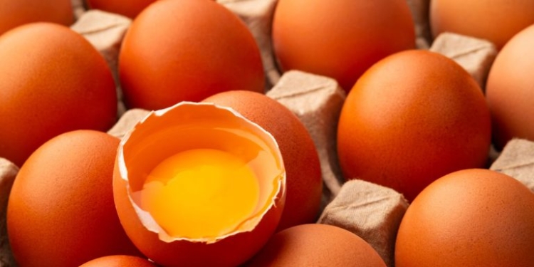 Dia Do Ovo: Brasil Produz 305 Ovos Por Habitante E Bate Recorde Histórico, Aponta Ibge - Gazeta Mercantil