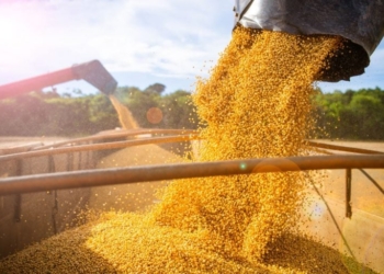 Brasil Se Beneficia Da Guerra Comercial Entre Estados Unidos E China - Gazeta Mercantil