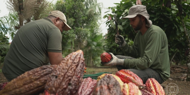 Agro Sustentável: Brasil Apresenta Ao Mundo Sua Força Produtiva E Ambiental Na Cop30 - Gazeta Mercantil
