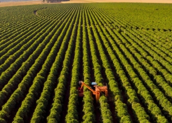 Recuperação Judicial No Agronegócio Pressiona Crédito Em 2025 - Gazeta Mercantil