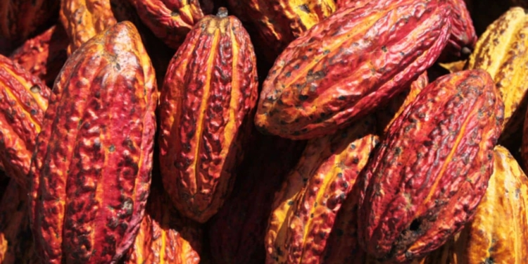 Preço Do Chocolate: Queda No Cacau Só Deve Aliviar Bolso No 2º Semestre - Gazeta Mercantil