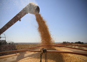 Exportações De Grãos Do Brasil Aceleram Em Dezembro Após Revisão Da Anec - Gazeta Mercantil