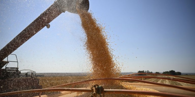 Exportações De Grãos Do Brasil Aceleram Em Dezembro Após Revisão Da Anec - Gazeta Mercantil