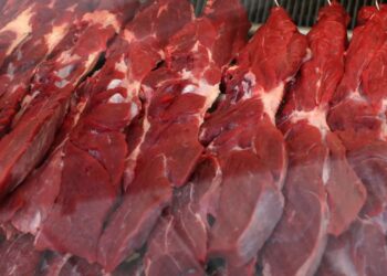 Exportação De Carne Bovina Do Mato Grosso Para A Ásia Dispara E Consolida O Estado Como Potência Global Do Setor - Gazeta Mercantil