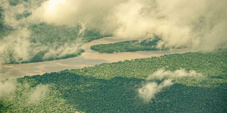 Clima Para Amanhã: Calor E Pancadas De Chuva Marcam O Tempo Em São Paulo Nesta Quarta-Feira, 5 - Gazeta Mercantil