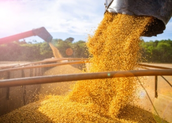 3Tentos Investe R$ 1,5 Bi Em Indústria De Processamento De Milho - Gazeta Mercantil