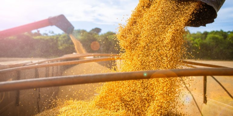 3Tentos Investe R$ 1,5 Bi Em Indústria De Processamento De Milho - Gazeta Mercantil