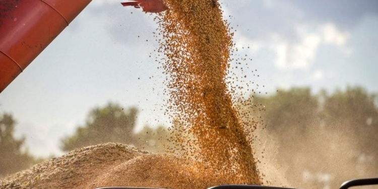 China compra soja dos EUA e dispara preços da commodity no mercado global 1 GAZETA MERCANTIL China Compra Soja Dos Eua E Dispara Preços Da Commodity No Mercado Global - Gazeta Mercantil