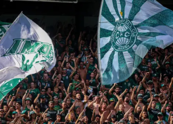 Série B 2025: Quem Subiu, Quem Caiu E Os Destaques Da Temporada - Gazeta Mercantil