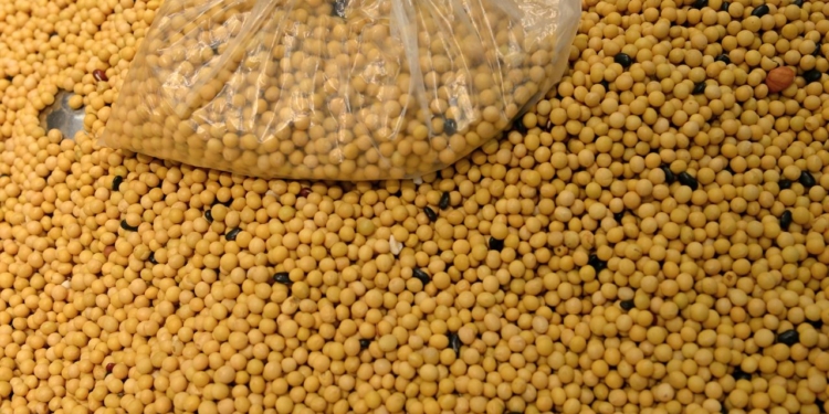 China Compra Soja Dos Eua E Agita O Mercado Global De Soja - Gazeta Mercantil