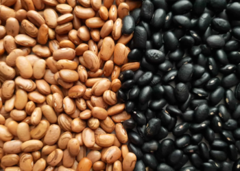 Brasil Abre Mercados Para Exportação De Feijão E Amplia Presença Internacional - Gazeta Mercantil