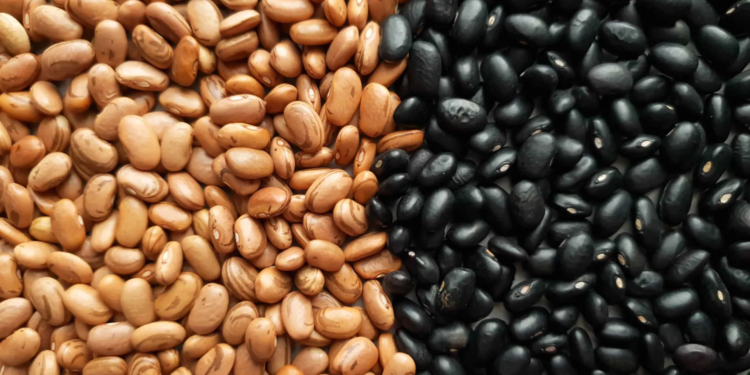 Brasil Abre Mercados Para Exportação De Feijão E Amplia Presença Internacional - Gazeta Mercantil