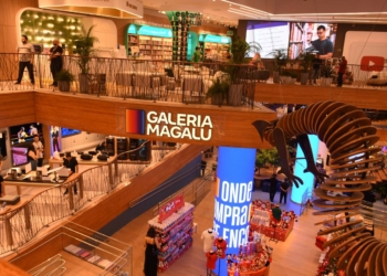 Magalu Sobe 39% No Ano: Recuperação Técnica Ou Início De Um Novo Ciclo? - Gazeta Mercantil