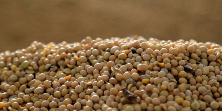 Soja recua em Chicago após máxima semanal apesar de compras expressivas da China 1 GAZETA MERCANTIL Soja Recua Em Chicago Após Máxima Semanal Apesar De Compras Expressivas Da China - Gazeta Mercantil