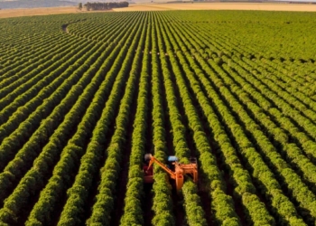 Exportações Do Agronegócio Brasileiro Batem Recorde E Geram Superávit De Us$ 149 Bilhões - Gazeta Mercantil