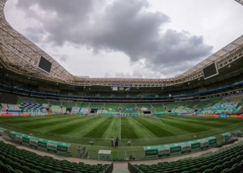 Novo Gramado Do Allianz Parque Chega Ao Brasil E Marca Nova Fase Do Estádio - Gazeta Mercantil