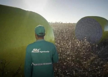 Slc Agrícola (Slc3) - Gazeta Mercantil