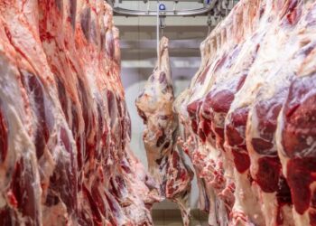 Carne Bovina Para China Pode Esgotar Cota Em Setembro - Gazeta Mercantil
