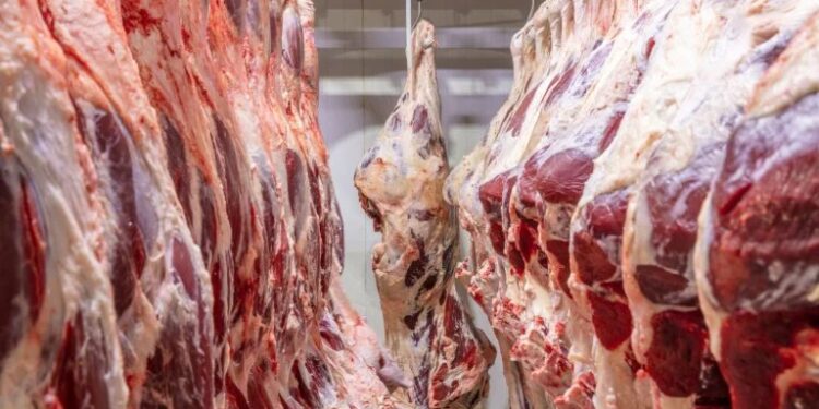 Carne Bovina Para China Pode Esgotar Cota Em Setembro - Gazeta Mercantil