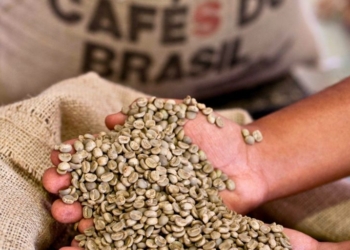 Exportação Brasileira De Café Bate Recorde De Us$ 15,6 Bi Em 2025 Com Alta Nos Preços - Gazeta Mercantil