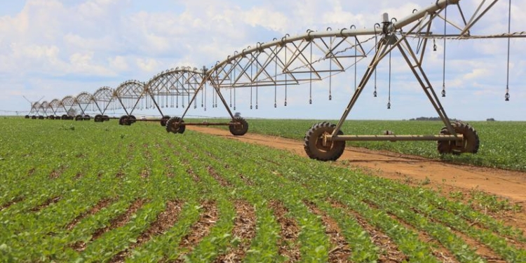 Economia Brasileira: Agro Garante Alta De 2,4% E Impacta Decisão Da Selic - Gazeta Mercantil