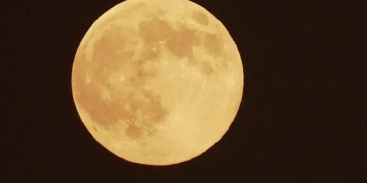 Hotel Na Lua: Empresa Abre Reservas Por R$ 5 Mi E Promete Inauguração Em 2032 - Gazeta Mercantil