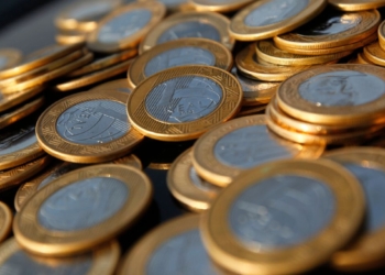 Crescimento De Investidores No Tesouro Direto Nas Regiões Norte E Nordeste Supera Média Nacional, Mas Concentração Ainda Está No Sudeste - Gazeta Mercantil