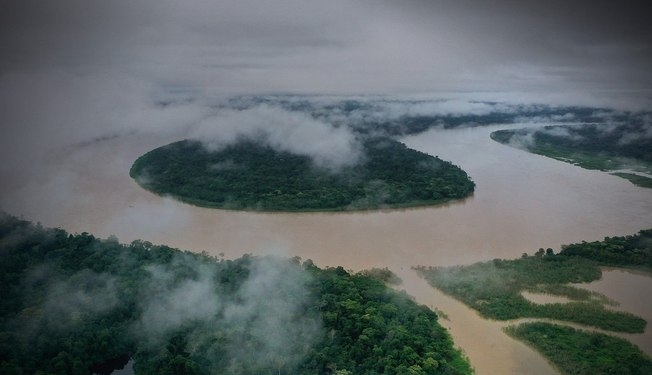 Governo Investiga Fraude No Mercado De Carbono Envolvendo Banco Master - Gazeta Mercantil