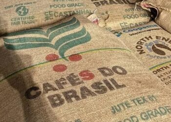 Exportações De Café Caem 31% Em Janeiro E Prejudicam Receita