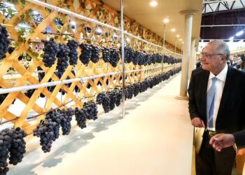 Reforma Tributária Vinhos E Espumantes Pode Reduzir Carga Para 33%, Afirma Alckmin - Gazeta Mercantil