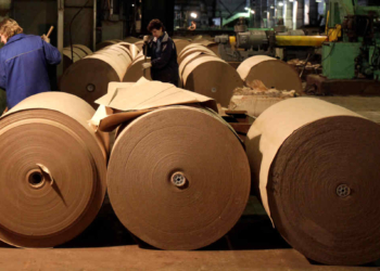 Suzano (Suzb3) Amplia Liquidez Com Nova Linha De Crédito Rotativo De R$ 9,3 Bilhões