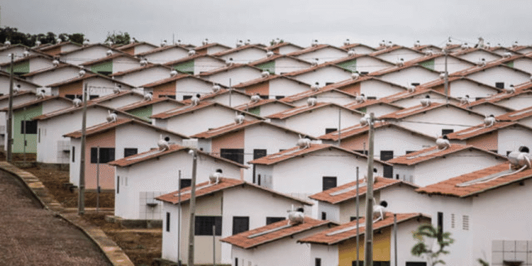 Governo Eleva Limite Do Minha Casa Minha Vida Para R$ 13 Mil E Amplia Acesso À Moradia - Gazeta Mercantil