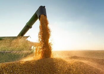 Safra Histórica, Demanda Chinesa E Guerra Comercial Entre Estados Unidos E China Impulsionam Embarques Do Agronegócio Em Abril - Gazeta Mercantil