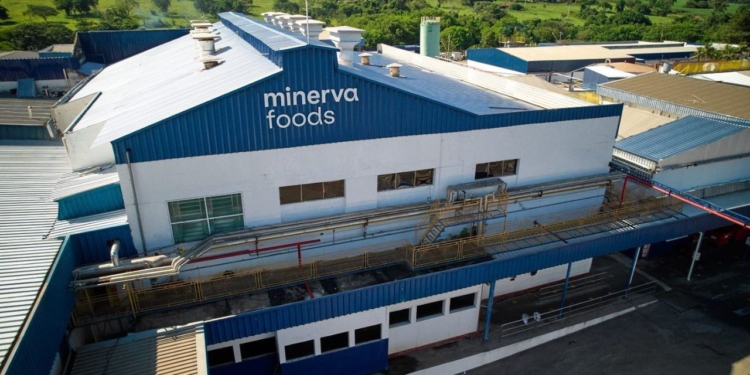 Minerva (Beef3) Tem Lucro No 4T 2025 E Projeta Cenário Mais Difícil Em 2026 - Gazeta Mercantil