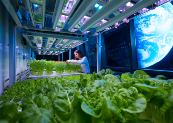 Agricultura Espacial No Brasil Avança Com Estudos Da Embrapa Para Plantar Alimentos Na Lua - Gazeta Mercantil