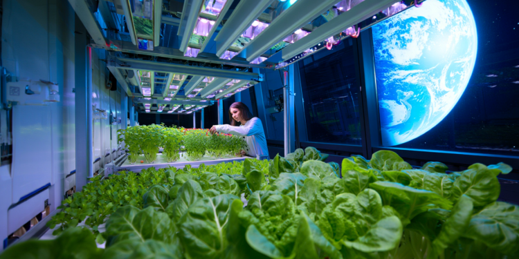 Agricultura Espacial No Brasil Avança Com Estudos Da Embrapa Para Plantar Alimentos Na Lua - Gazeta Mercantil