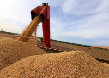 Stf Valida Moratória Da Soja, Mantém Restrições Fiscais E Afasta Indenizações Contra Tradings - Gazeta Mercantil