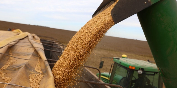 Falta de armazéns força produtor a vender soja na colheita, alerta Faesp 1 GAZETA MERCANTIL Soja - Gazeta Mercantil